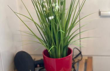 - Top Ausstattung - Kostenlos Netflix/Wifi/Parken - Foto 30