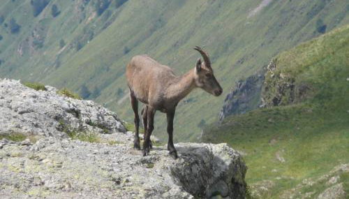 Lullaby B&B - Foto 5