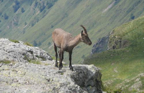 Lullaby B&B - Foto 5