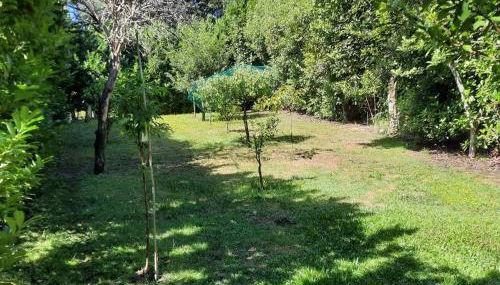 Casa do Mirante - Foto 4