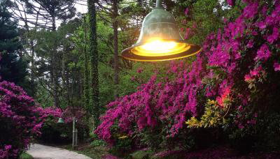 Apartamento Refúgio do Ipê em Gramado - Próximo ao Lago Negro - Foto 2