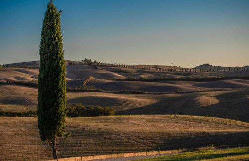 Casa Lavanda - Podere Fossaccio - Foto 18