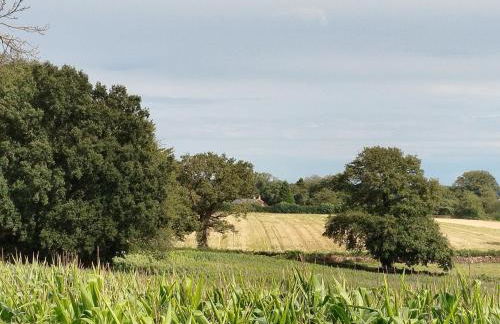 Gîte Traitsanes En Berry Centre Val de Loire - Foto 1