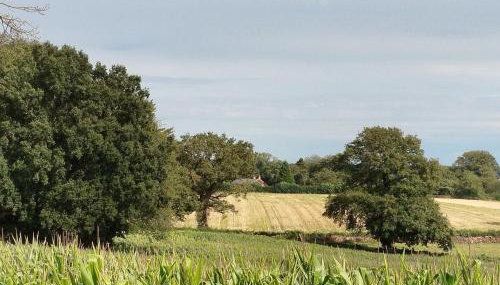 Gîte Traitsanes En Berry Centre Val de Loire - Foto 1