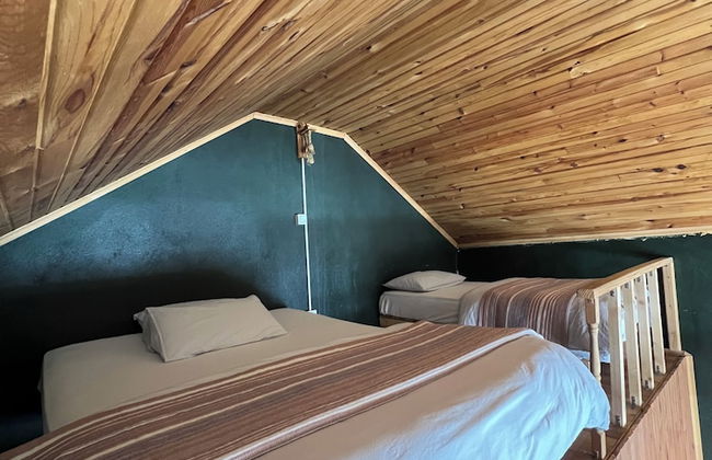 Ny Çambaşı - Foto 5