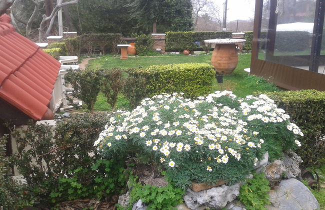 Kalogirou Stone House - Foto 66