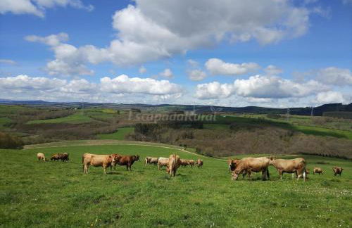 Apartamentos Casa de Riba - Foto 62