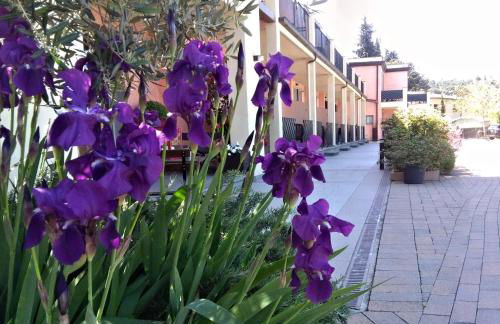 Residence Fiesole - Foto 33