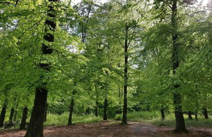 Ferienhaus "Am Gehre" - Foto 29