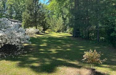 Victorian mini mansion near Lake Greenwood - Foto 9