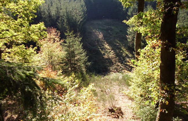 An Attractive Apartment in Gerolstein - Foto 23