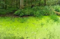 Siedlisko Na Szlaku Odry - Foto 39