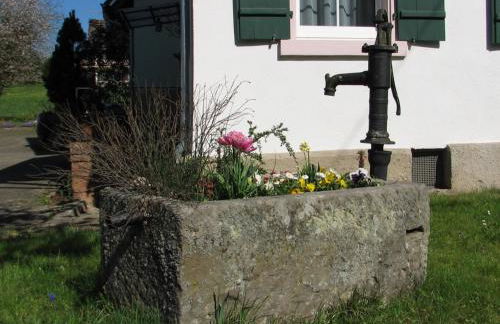 Alte Schmiede - Foto 43