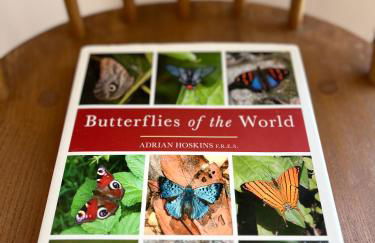 Beautiful Beach House - Foto 32