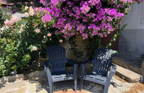 Casa do Pedro, Quinta Vale de Vila - Foto 8