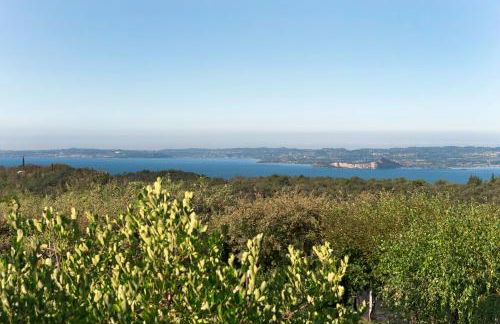 Casa Fellini - Foto 28