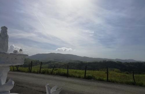 Agroturismo Pagoederraga - Foto 47