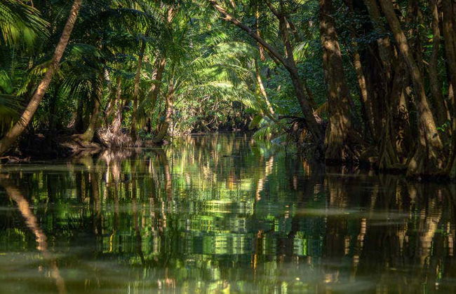 Trilha por Dublanc + Barco pelo rio Índio para cruzeiros - Foto 2