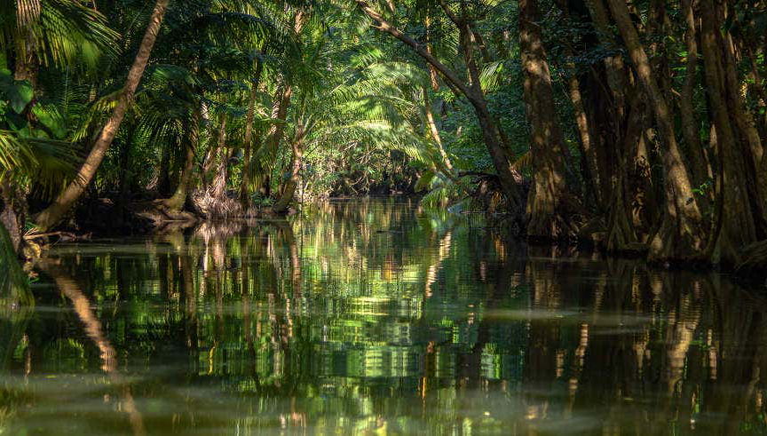 Trekking a Dublanc + Giro in barca sul fiume Indio per croceristi