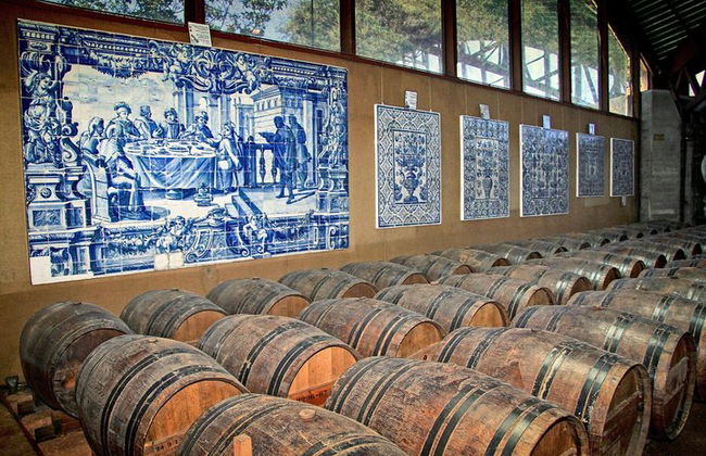 Arrabida and Bacalhoa Wine Tasting Private Tour from Lisbon - Photo 7