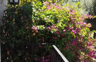 Casa das Magnólias de Igarei - Foto 8