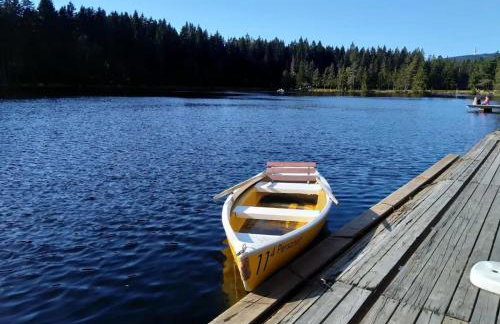 Elsa's Waldnest-Nähe Fichtelsee - Foto 36