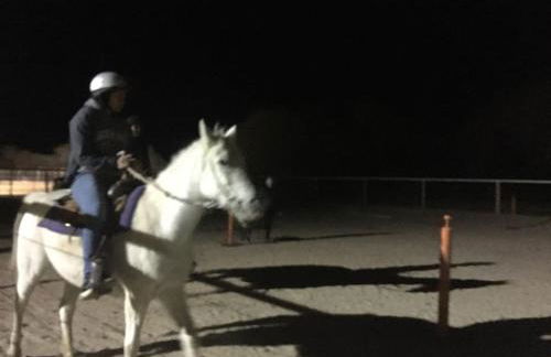 Shirley Creek Retreat: a Mountain Oasis - Foto 44