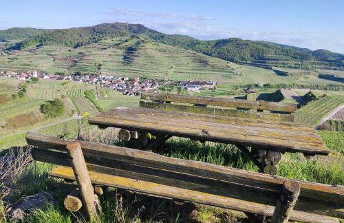 Ferienwohnung Angie - Foto 16