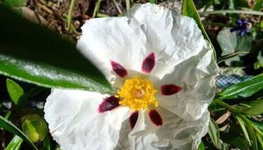 La Poste Saulgond - Foto 3