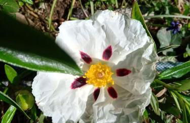 La Poste Saulgond - Foto 3