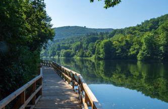 Ferienhaus Am alten Fachwerk - Foto 30