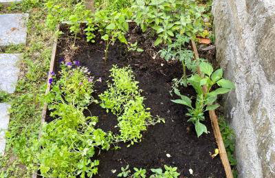 Lucky Home - Apartment Art Grožnjan - Foto 20