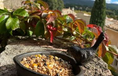 La Maisonnette de Bédoin Mont Ventoux - Self Check In - Photo 12