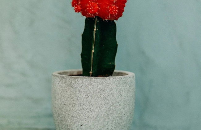 Panoramic Argyro's IO House with Jacuzzi - Foto 24