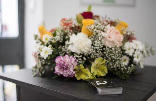 Apartamentos Turísticos Domus Seleqtia Plaza Mayor - Foto 5