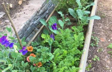 15th Century 6-bed Farmhouse, Sleeps 11, Pets Ok - Foto 7