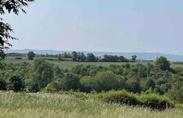 Mill Lodge - Photo 41