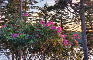 Sunset Cabin by the Sea, Log cabin stunning views - Photo 15