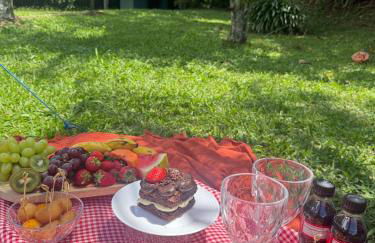 Sítio em Petrópolis Natureza Descanso Família e Amigos - Foto 36