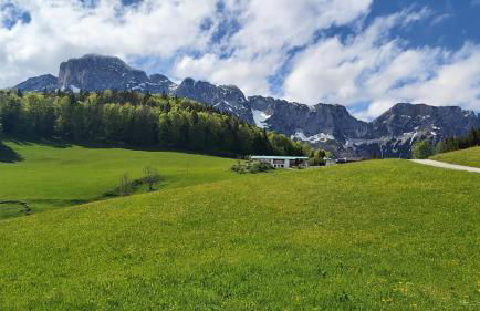 Ferienwohnungen Zechmeister - Photo 35