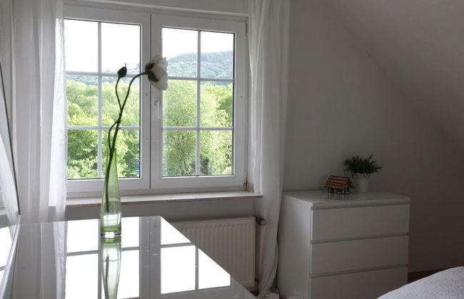 Bos en Kasteel - Foto 3