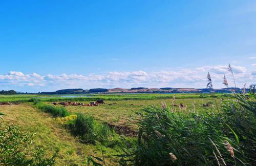 Strandhaus Alte Töpferei - Foto 80
