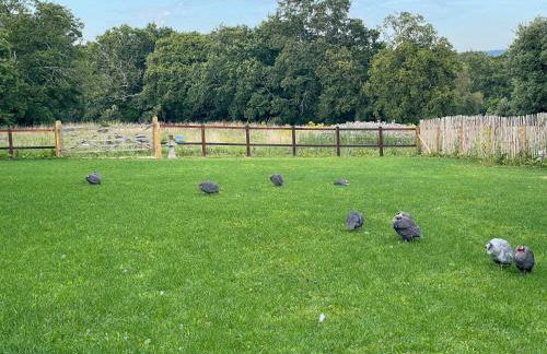 Furzedown Farm House - Foto 56