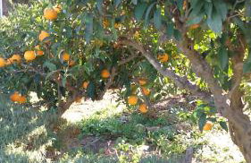 Jenny`s House - Photo 2