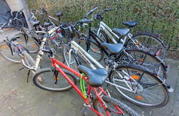 Ferienhaus Niederrhein Kalkar - Foto 42