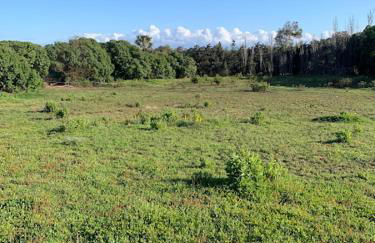 Finca Dos Vientos Tarifa - Foto 9