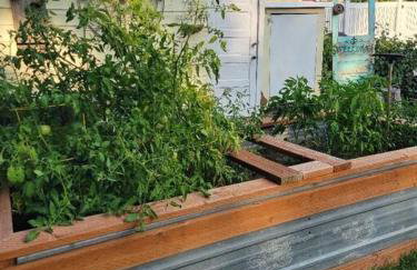 Mi Casa, Tu Casa - Foto 8