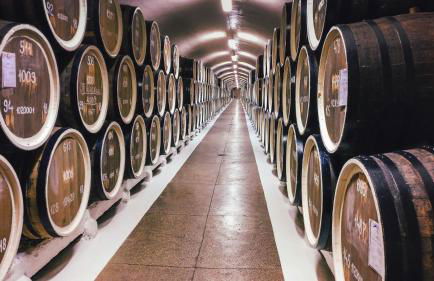 Tandem Solera - Foto 35