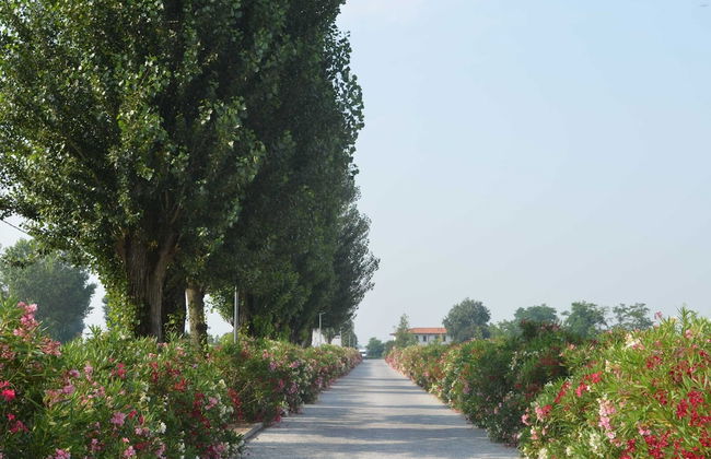 Characteristic Apartment in Codigoro With Pool - Foto 41