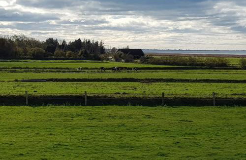 Nordseeblick Ferienhaus - Foto 12